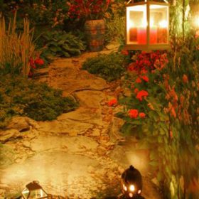 Night Garden Scene